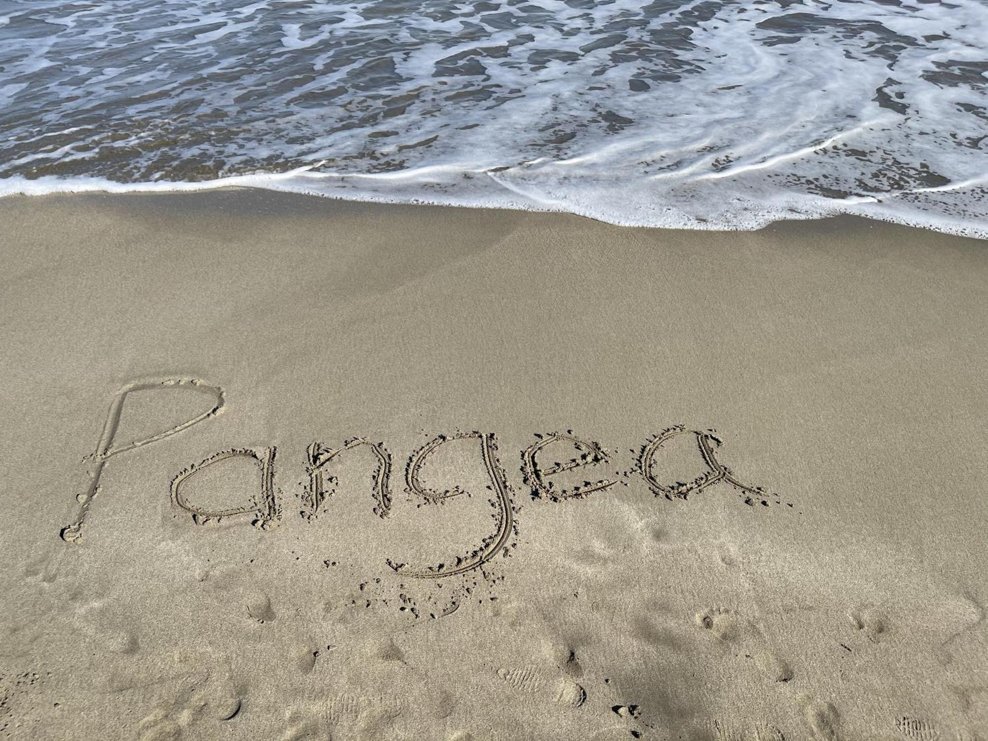 Casa Blanca Beachfront House With Shared Pool Access Pangea Lodge Manzanillo  Exterior photo